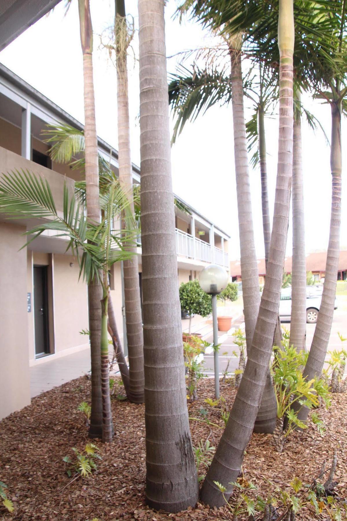 The Galaxy Motel Gosford Zewnętrze zdjęcie